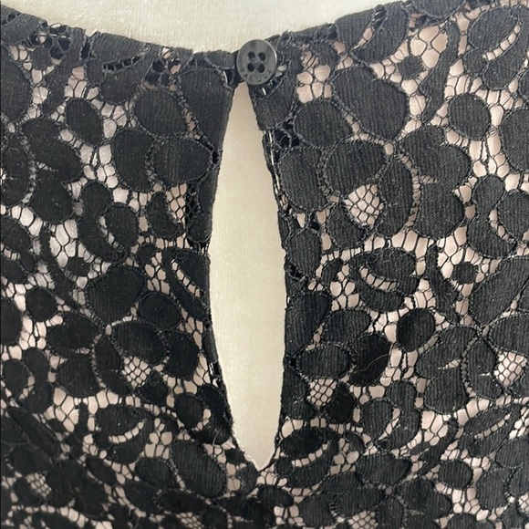 Talula Aritzia Betty Black Lace Tank Top with Pink Lining Size M - Picture 9 of 11